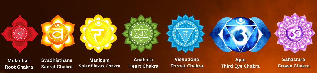 Seven Chakras - Mira Yogashala