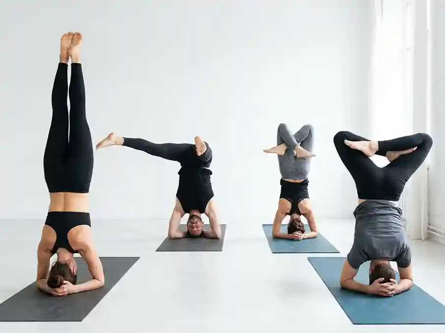 Baddha Hasta Shirshasana 